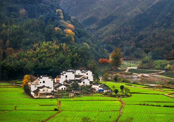 田園風光
