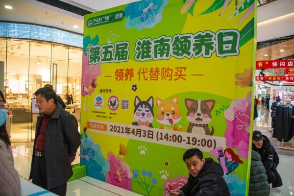 愛犬你就來――第五屆淮南領養日