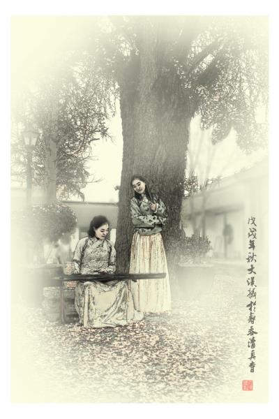 古寺老樹呈古韻