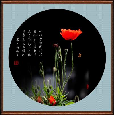 虞美人倩影
