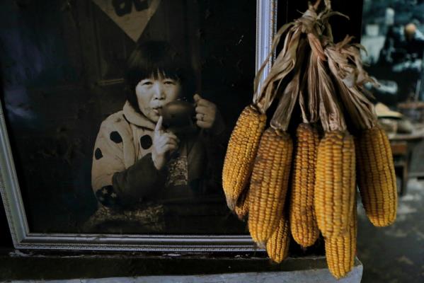 古鎮·老茶館·風情