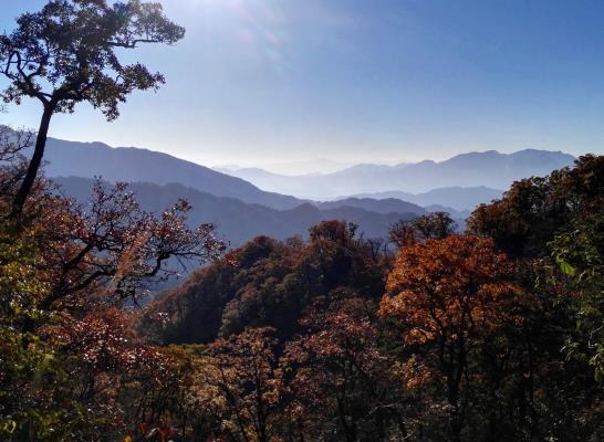 幾幅馬鬃嶺風景照