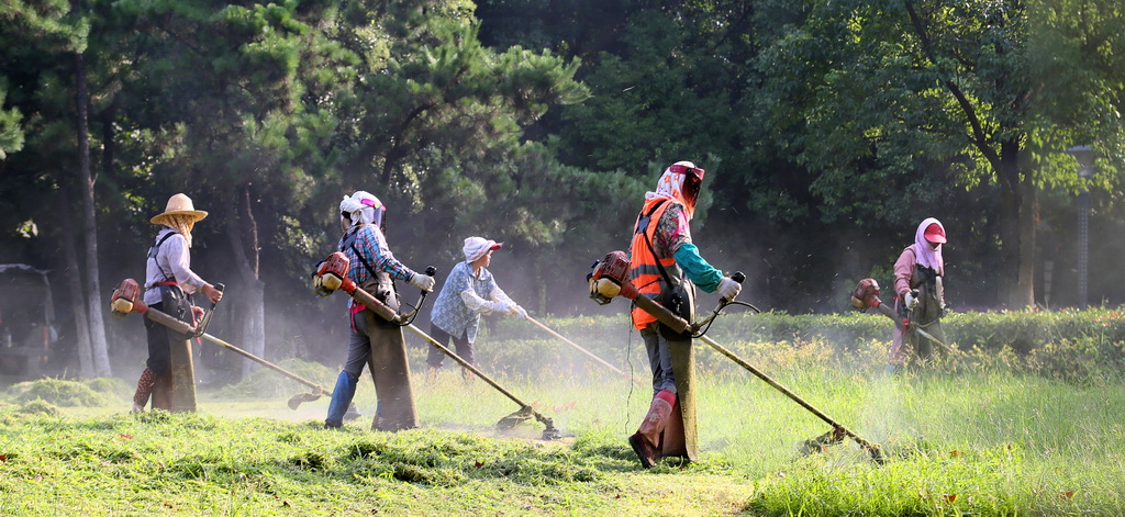 1024 A17A3325_全景圖1 - 副本_調整大小.jpg