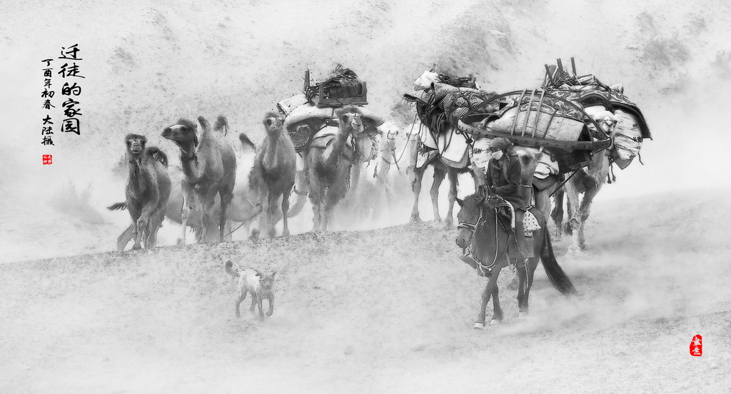 A17A8549 - 副本 - 副本 (2)_調(diào)整大小.JPG