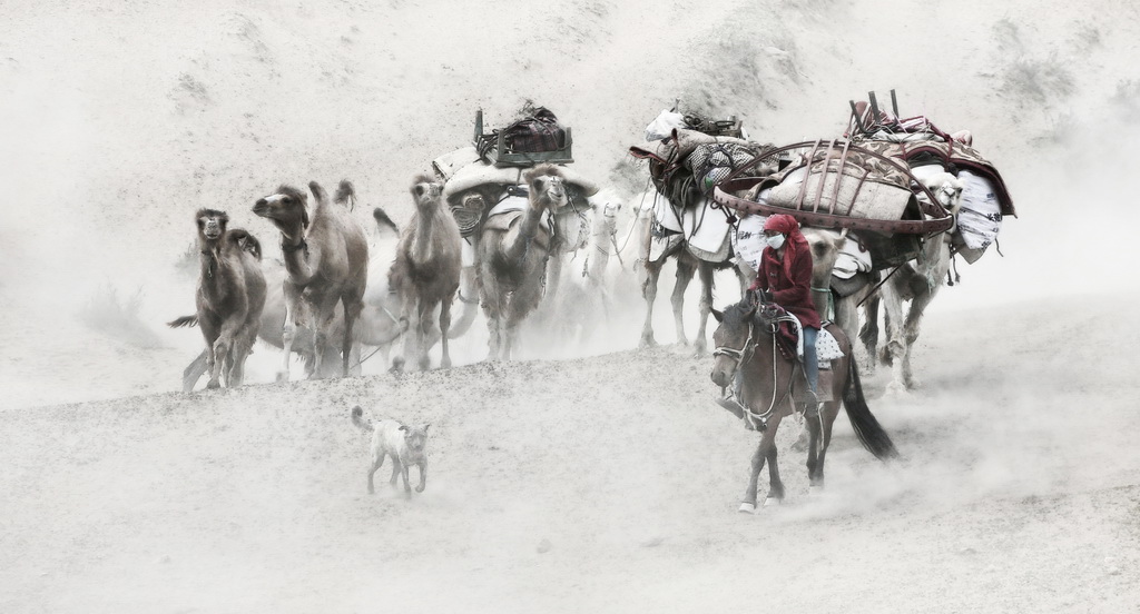 01 A17A8549 - 副本-2_調(diào)整大小.jpg