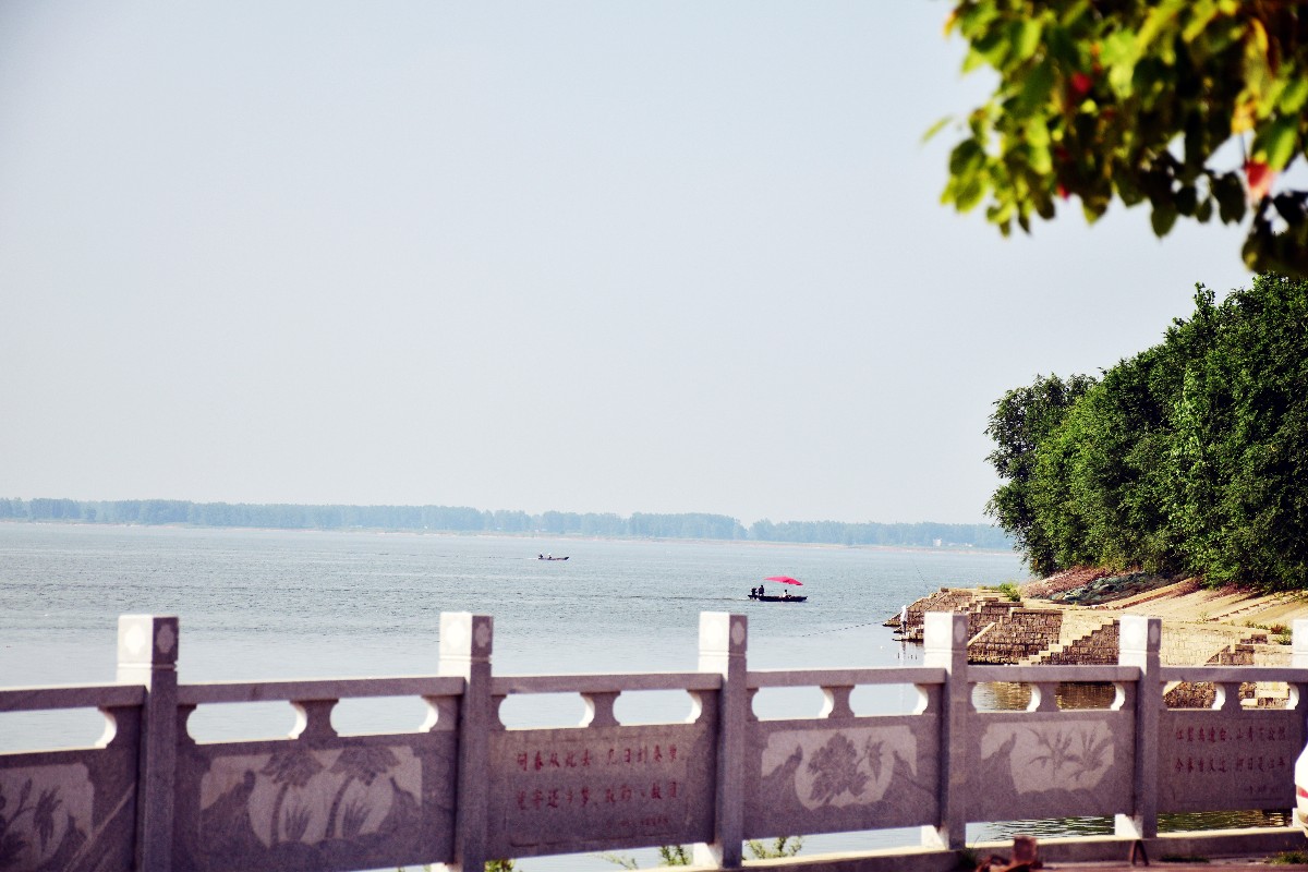 DSC_0950.JPG