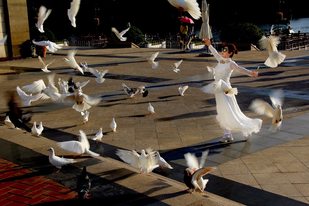 飛    徐金陵攝    13637116482.JPG