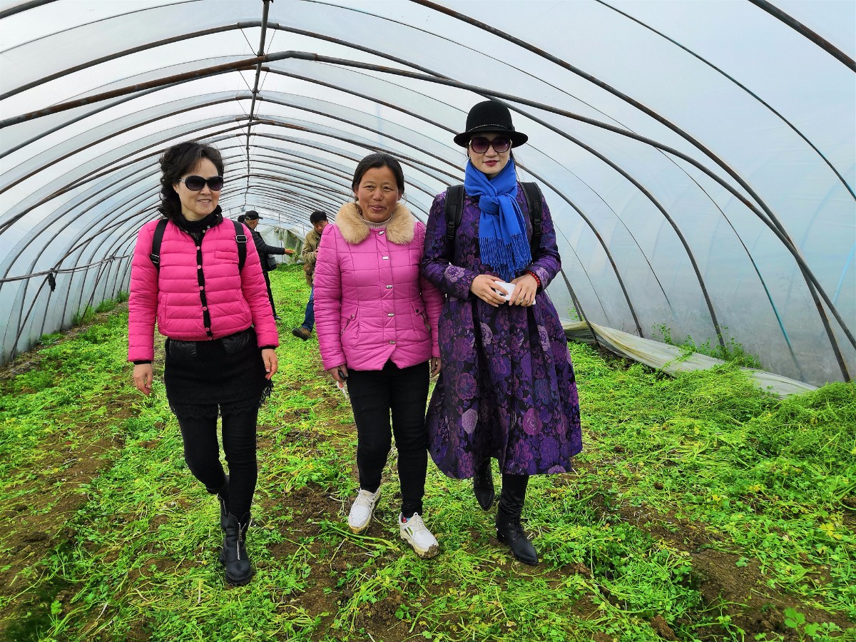 微信圖片_20190526215127.jpg 微信圖片_20190526215127.jpg