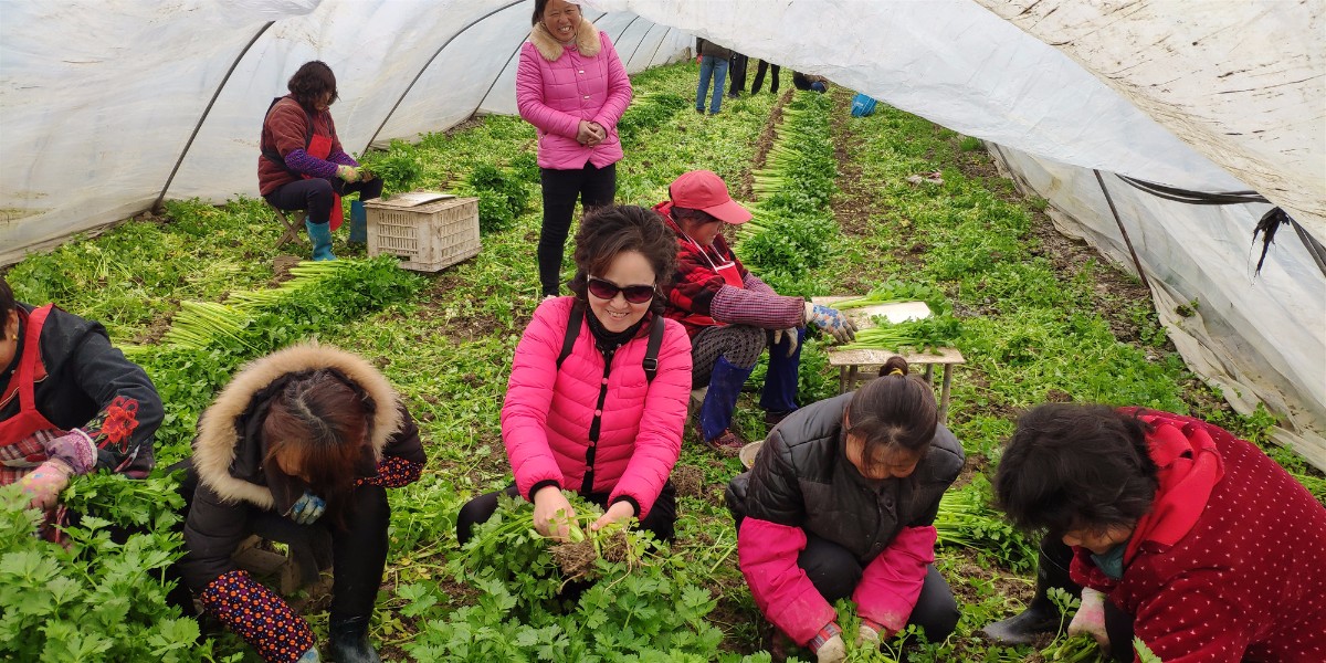 微信圖片_20190526215153.jpg 微信圖片_20190526215153.jpg