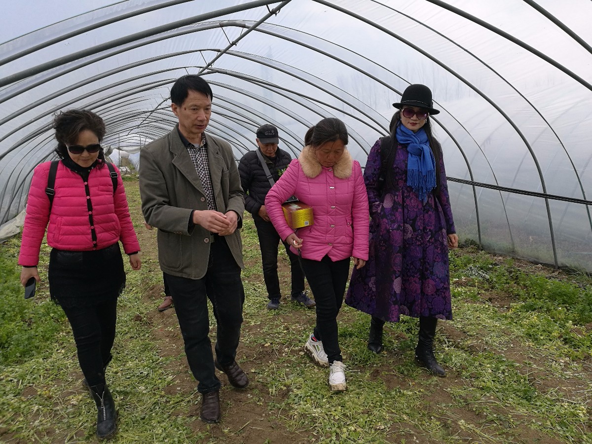 微信圖片_20190526221014.jpg 微信圖片_20190526221014.jpg