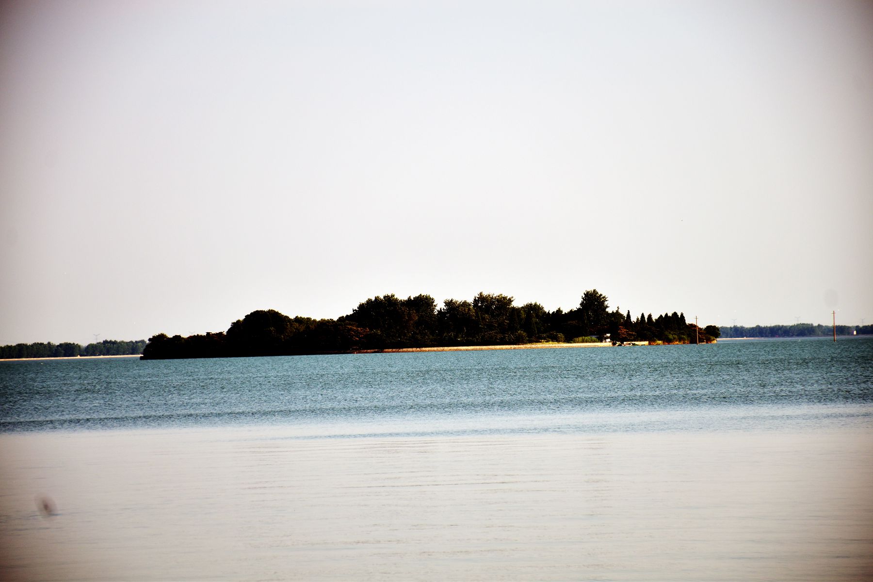DSC_0288.JPG DSC_0288.JPG