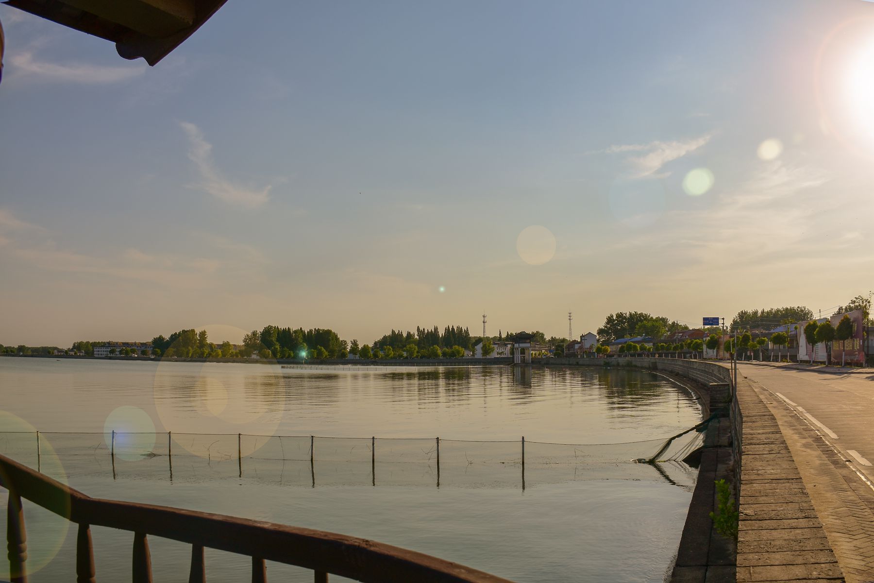 DSC_0316.JPG DSC_0316.JPG
