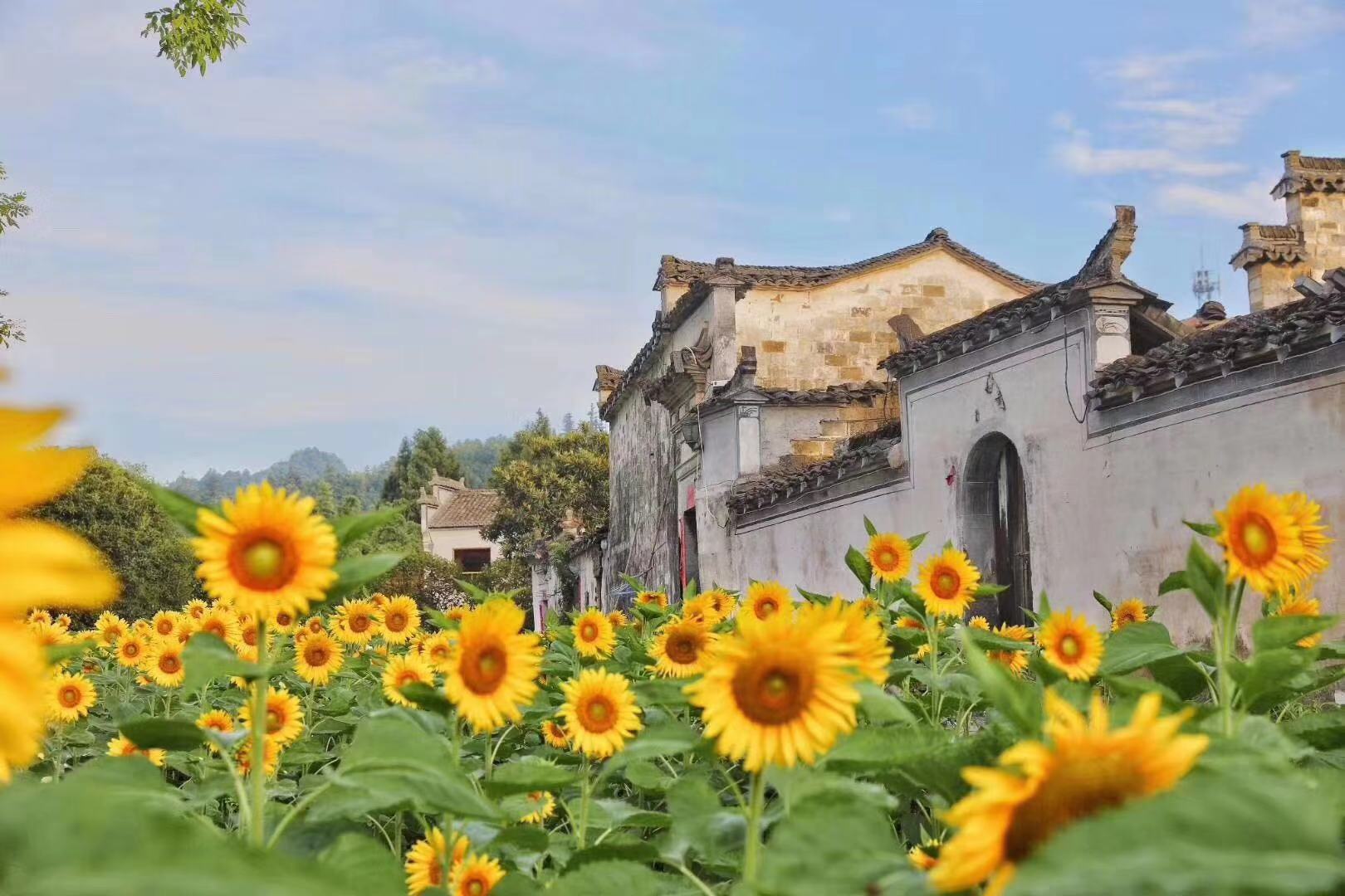 微信圖片_20190827085536.jpg