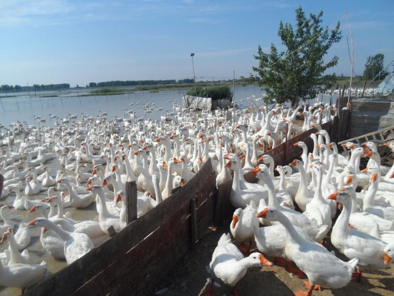 微信圖片_20191118192757.jpg 微信圖片_20191118192757.jpg