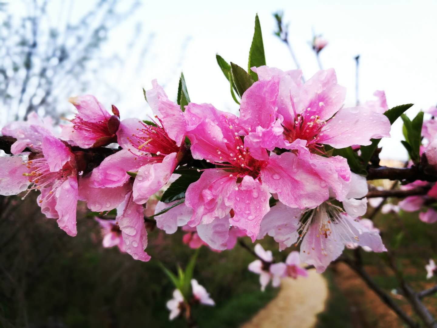 mmexport1576569591052.jpg mmexport1576569591052.jpg