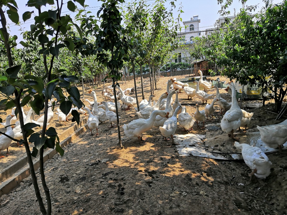 微信圖片_20200525175637.jpg