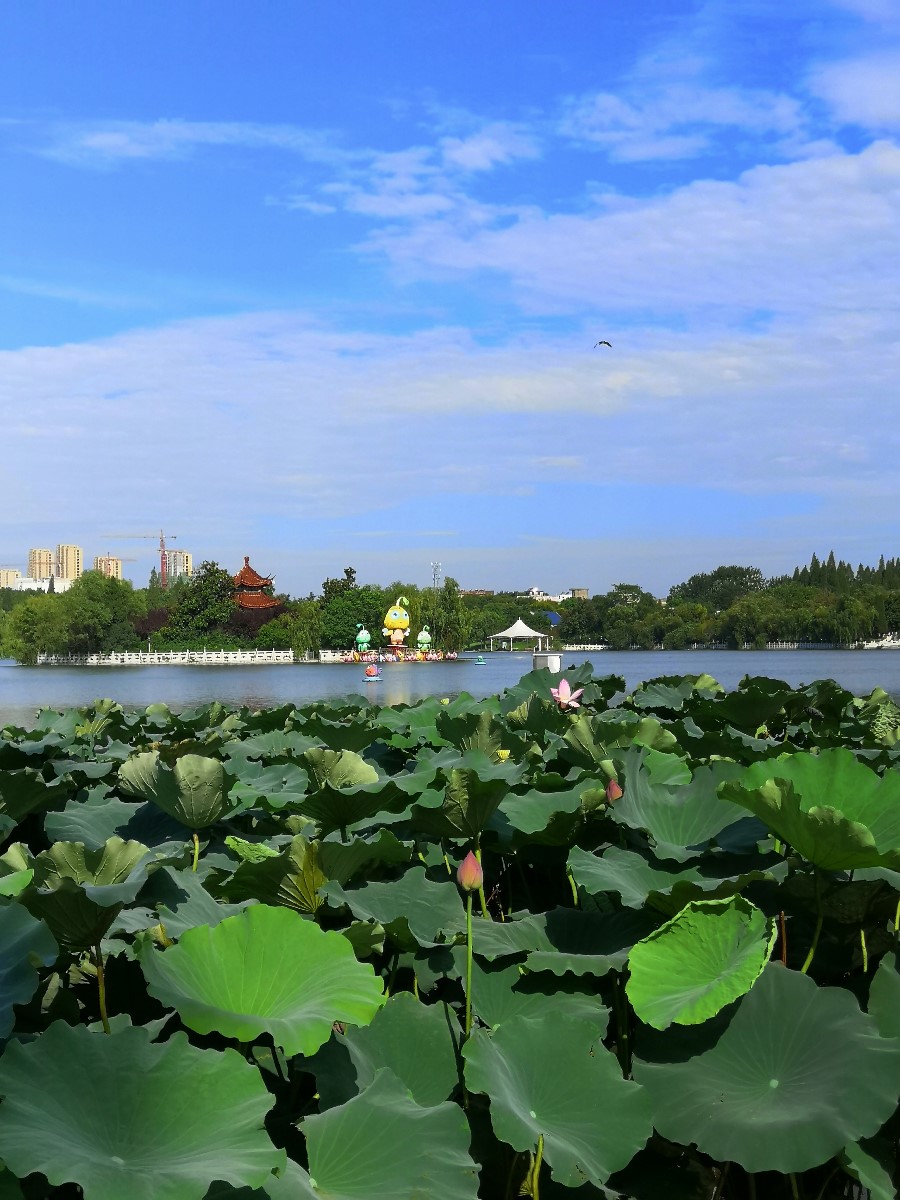 微信圖片_20200817160031.jpg