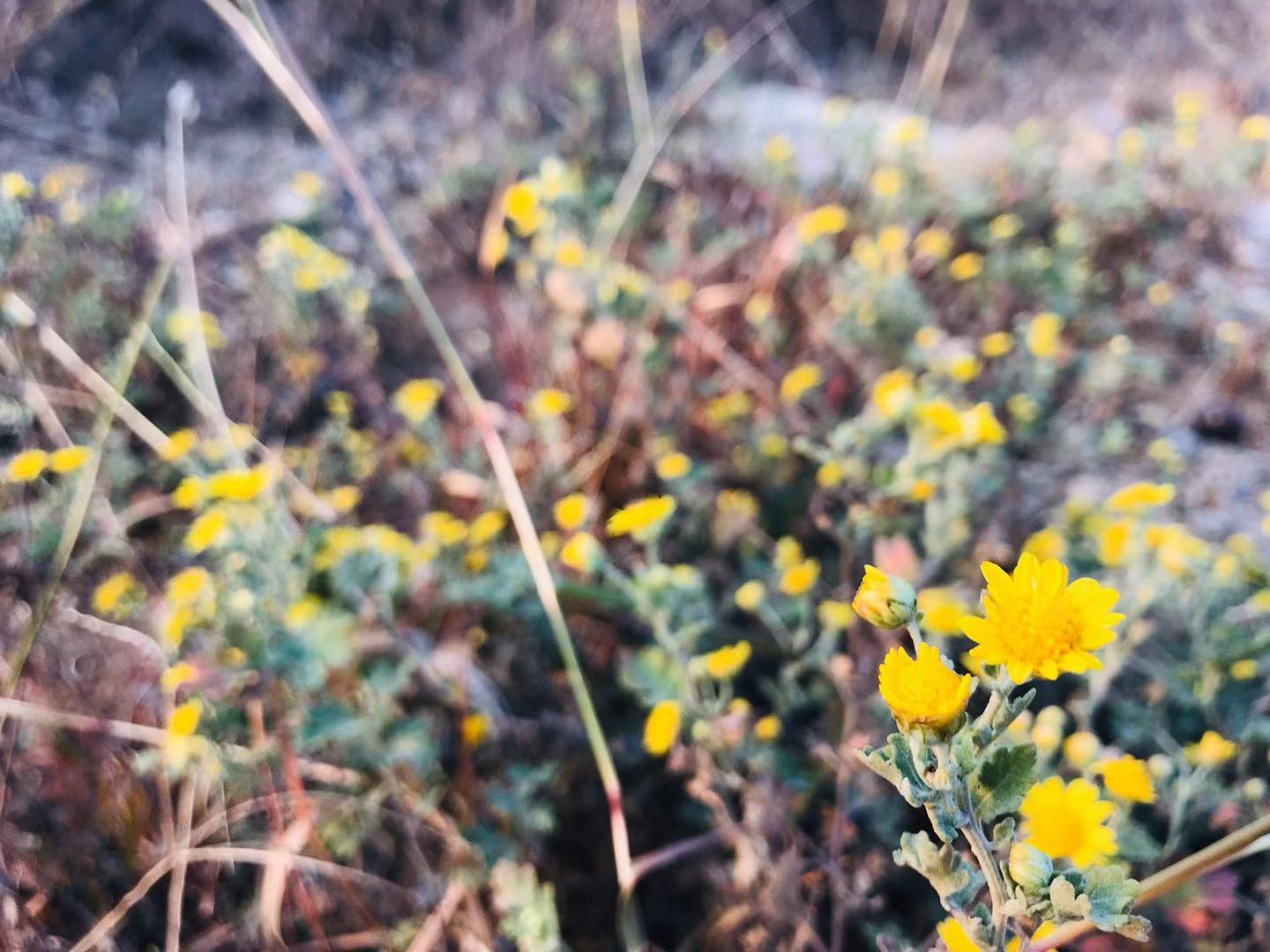 微信圖片_2019111010220124.jpg 微信圖片_2019111010220124.jpg