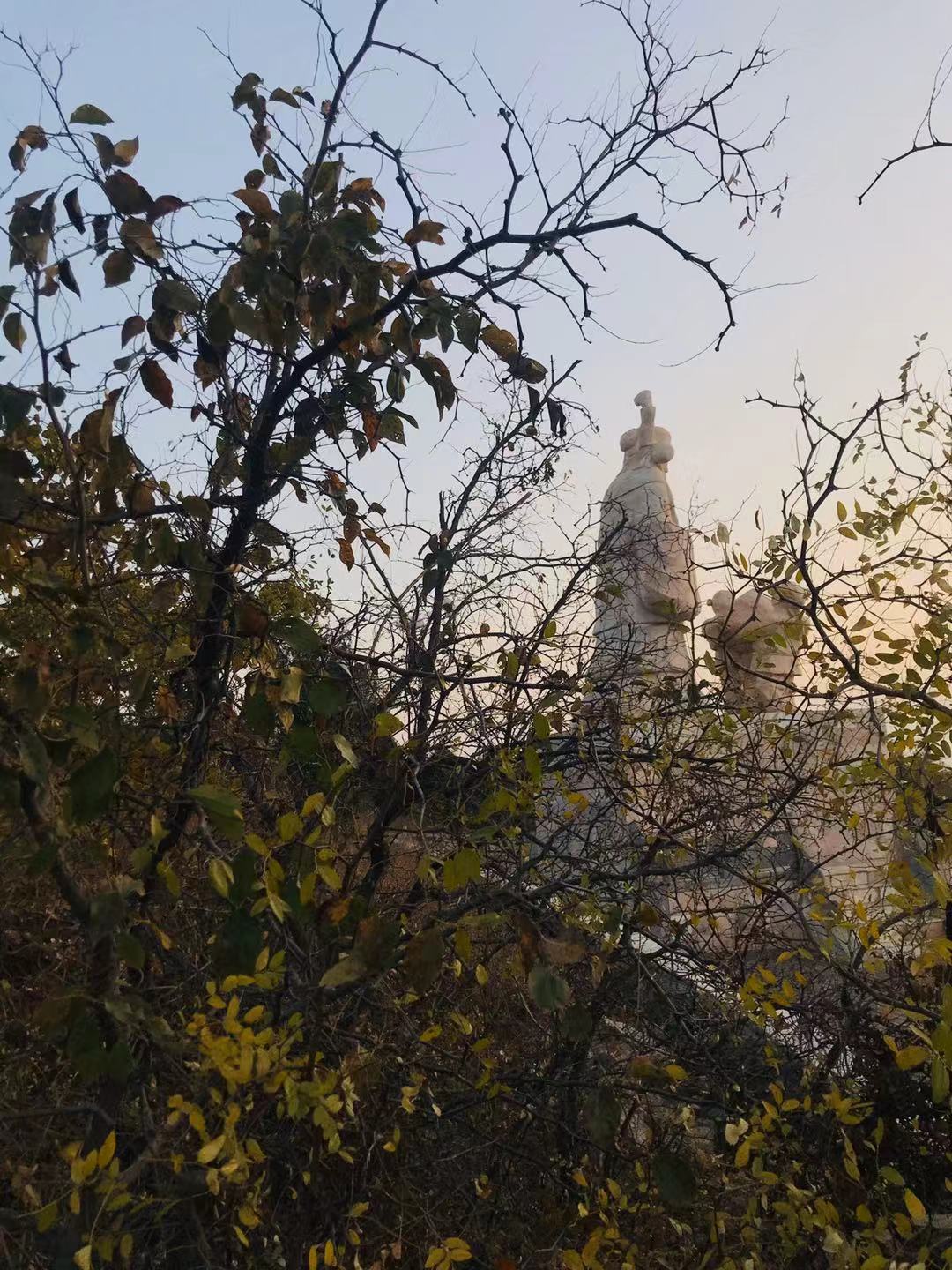 微信圖片_2019111010220110.jpg 微信圖片_2019111010220110.jpg