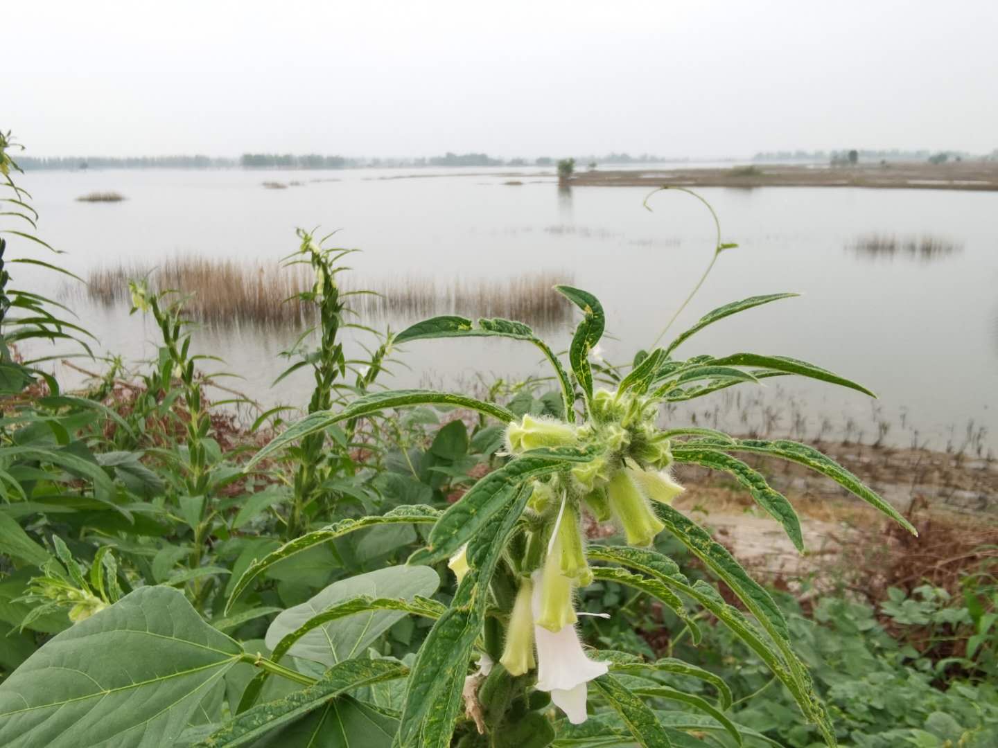 微信圖片_20200907185948.jpg 微信圖片_20200907185948.jpg