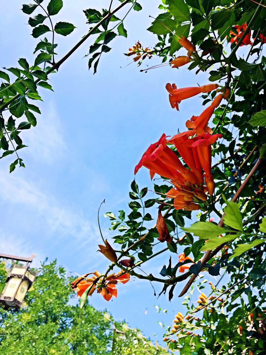 微信圖片_20190521082313.jpg 微信圖片_20190521082313.jpg