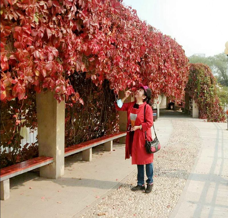 蘭仰望紅葉很好.jpg