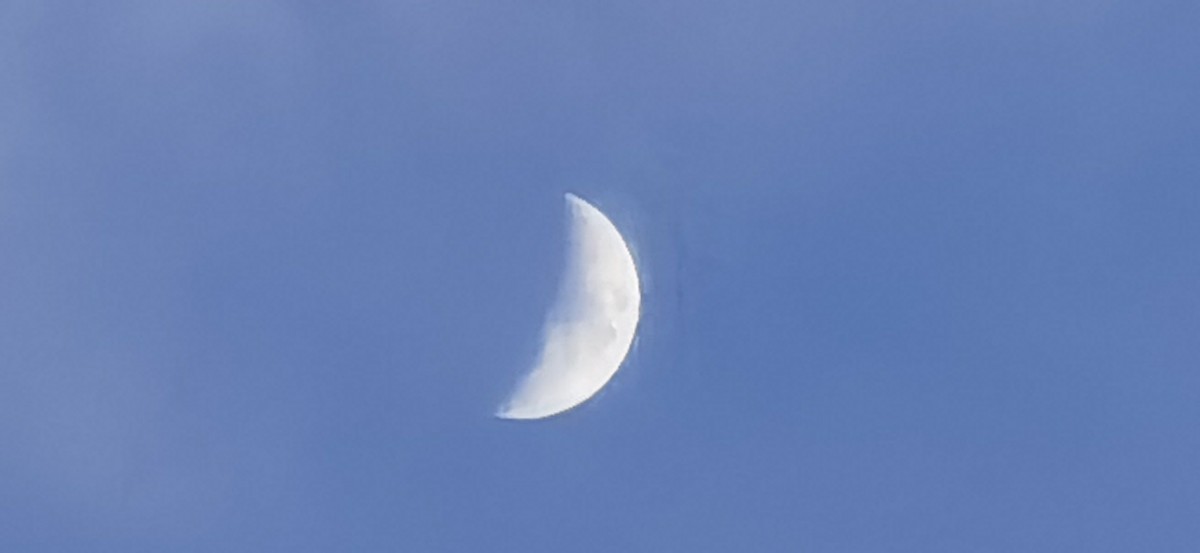 微信圖片_202102210711017.jpg