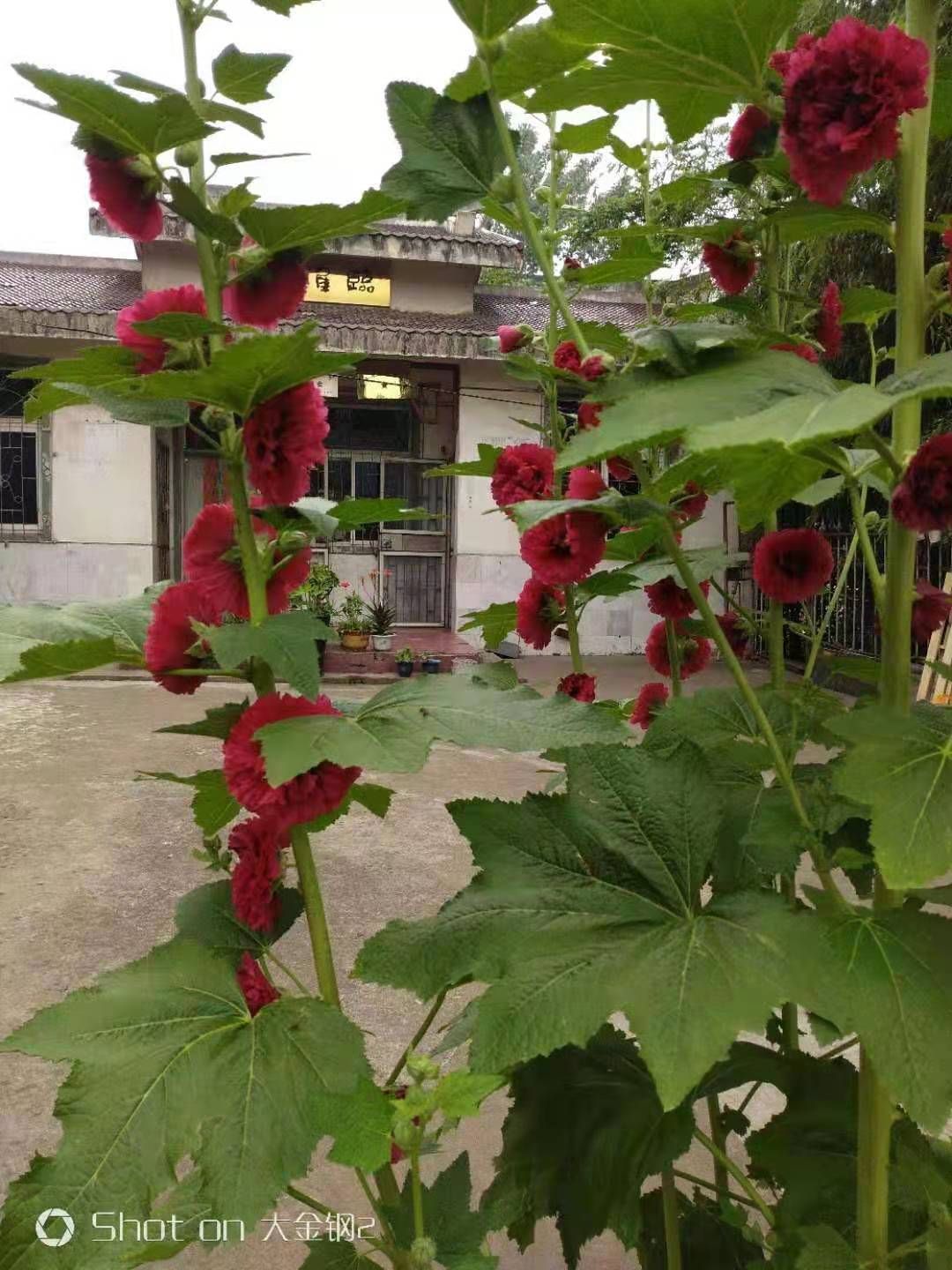 微信圖片_20210609064037.jpg 微信圖片_20210609064037.jpg