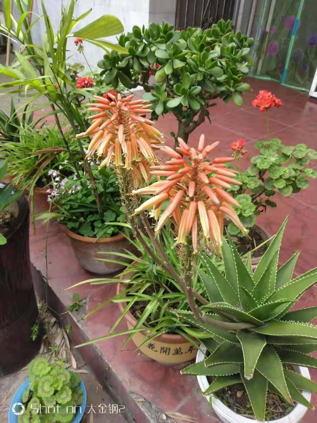 微信圖片_20210609064042.jpg 微信圖片_20210609064042.jpg