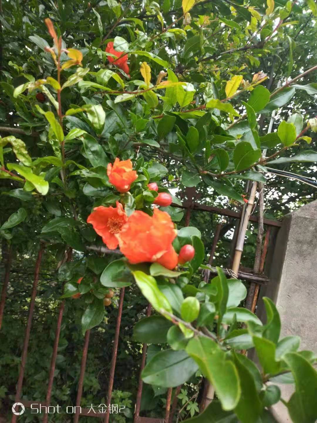 微信圖片_20210609064104.jpg