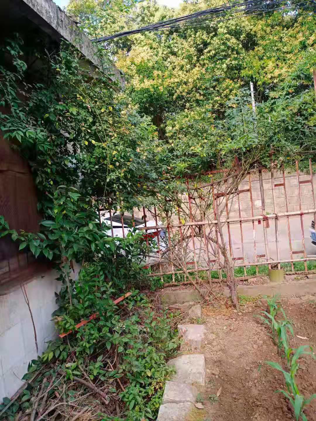 微信圖片_20210609082058.jpg 微信圖片_20210609082058.jpg