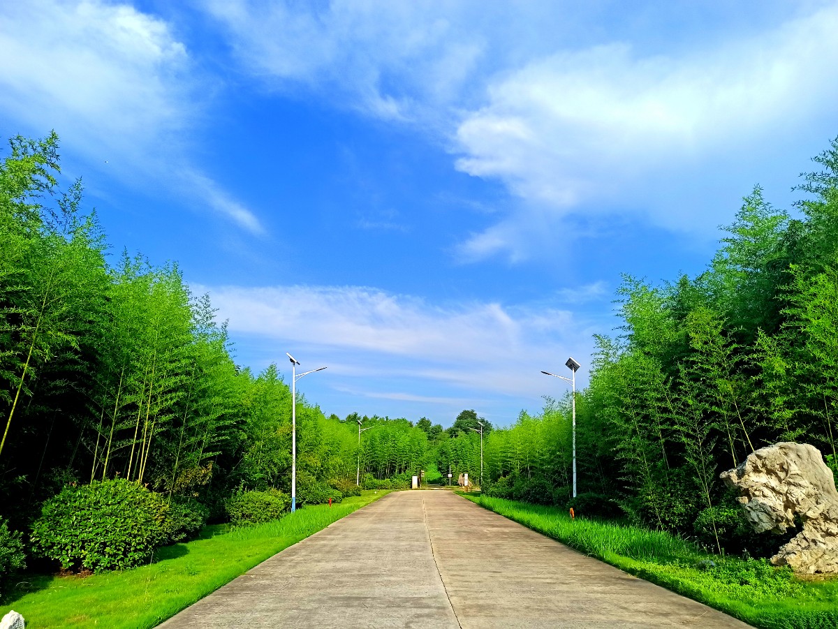 3園區道路.jpg