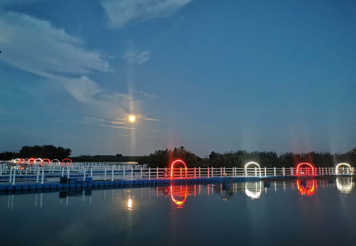 7生態園夜景.jpg