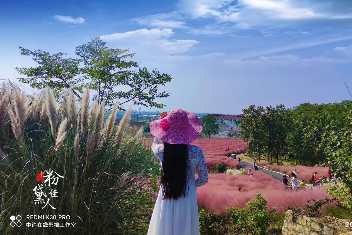 20211002許廣泉攝影《紅燕旅游之米粒花世界粉黛佳人》9.jpg