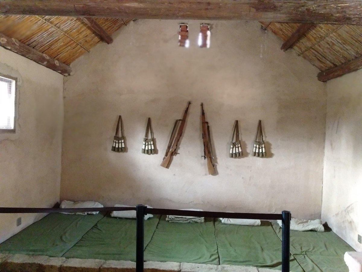IMG20211021110428.jpg