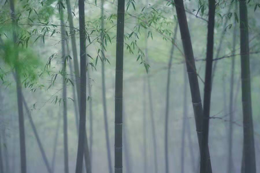 微信圖片_20220117203134.jpg 微信圖片_20220117203134.jpg