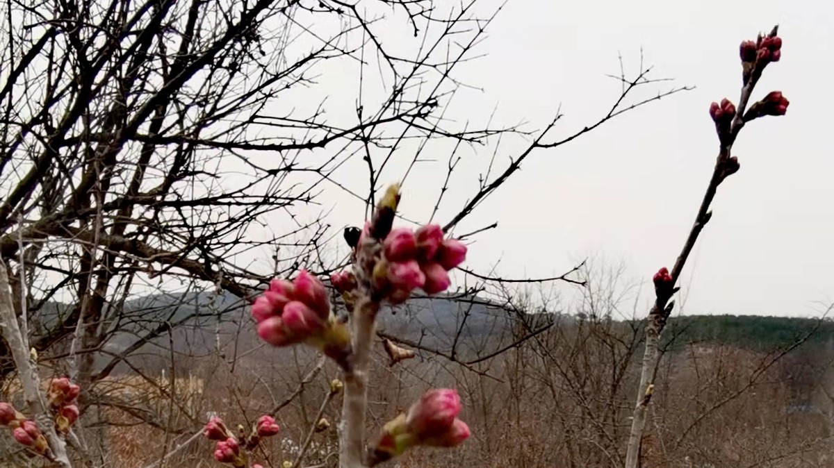 微信圖片_20220308084124.jpg