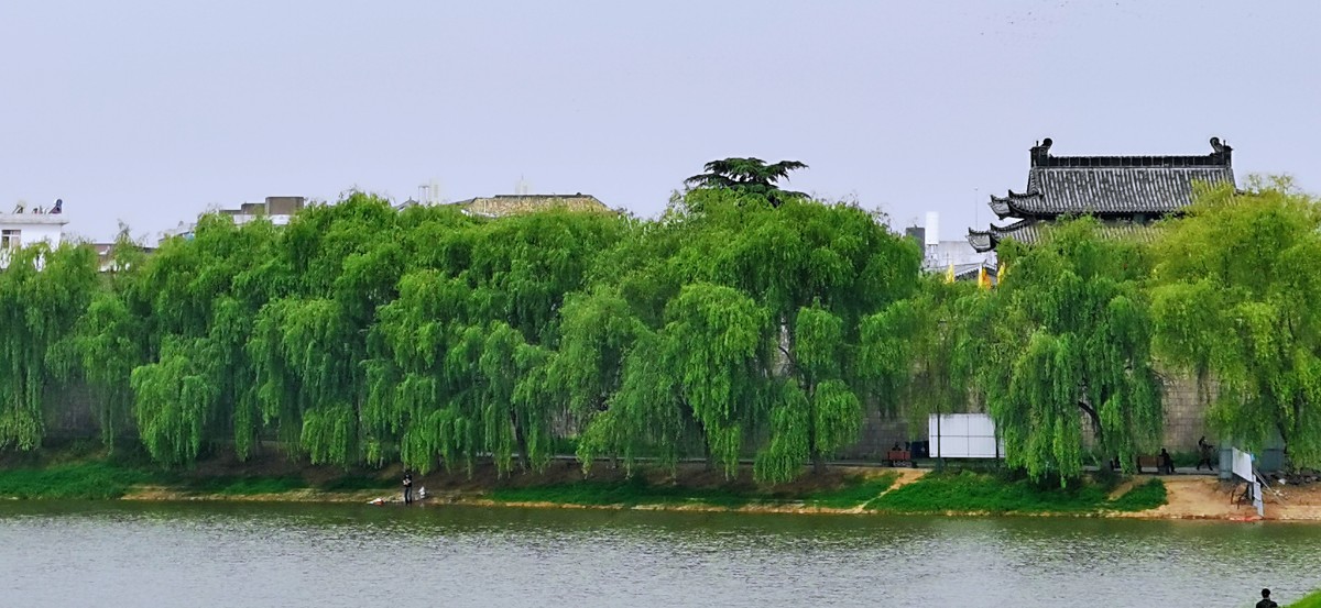 微信圖片_202204201000472.jpg 微信圖片_202204201000472.jpg