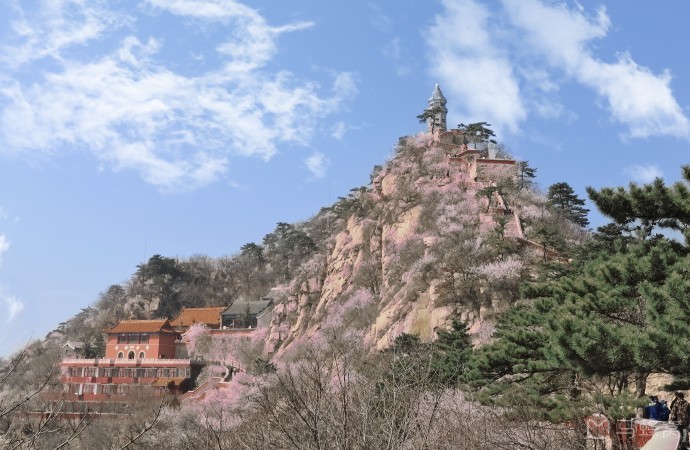 7188b1bcda6427dfb75864430c39761e.jpeg 7188b1bcda6427dfb75864430c39761e.jpeg