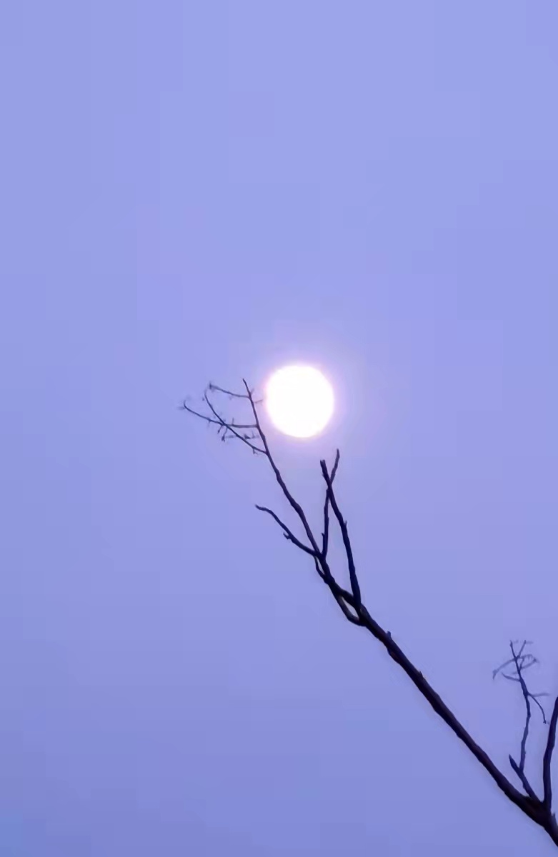 微信圖片_20220910144803.jpg