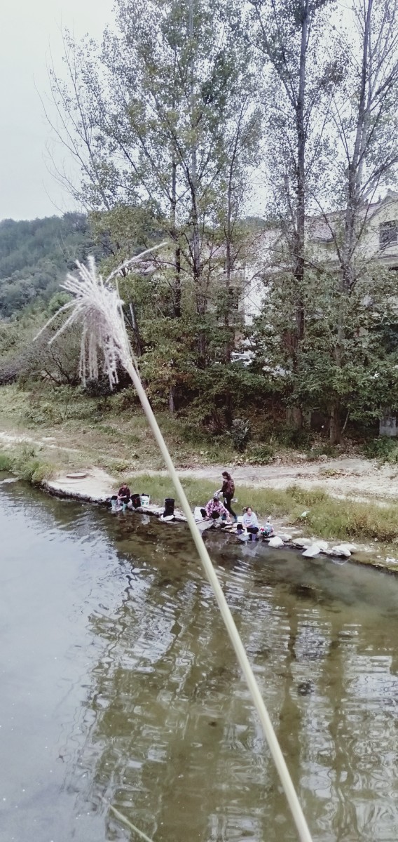 IMG20220925063810.jpg