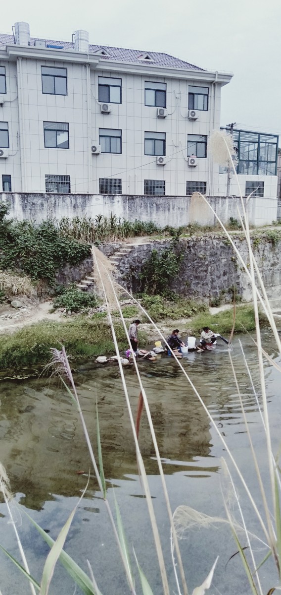 IMG20220925063820.jpg
