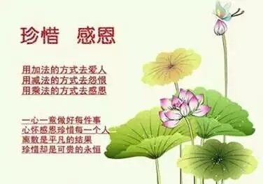 f36a2a61c694552fce974a2b2440c329.jpeg