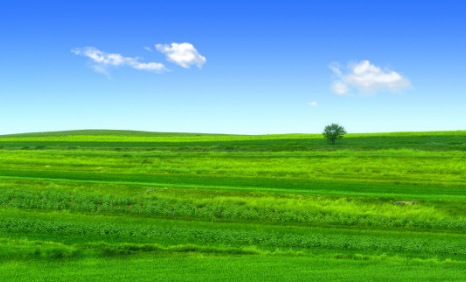 微信圖片_202304251357514.png 微信圖片_202304251357514.png