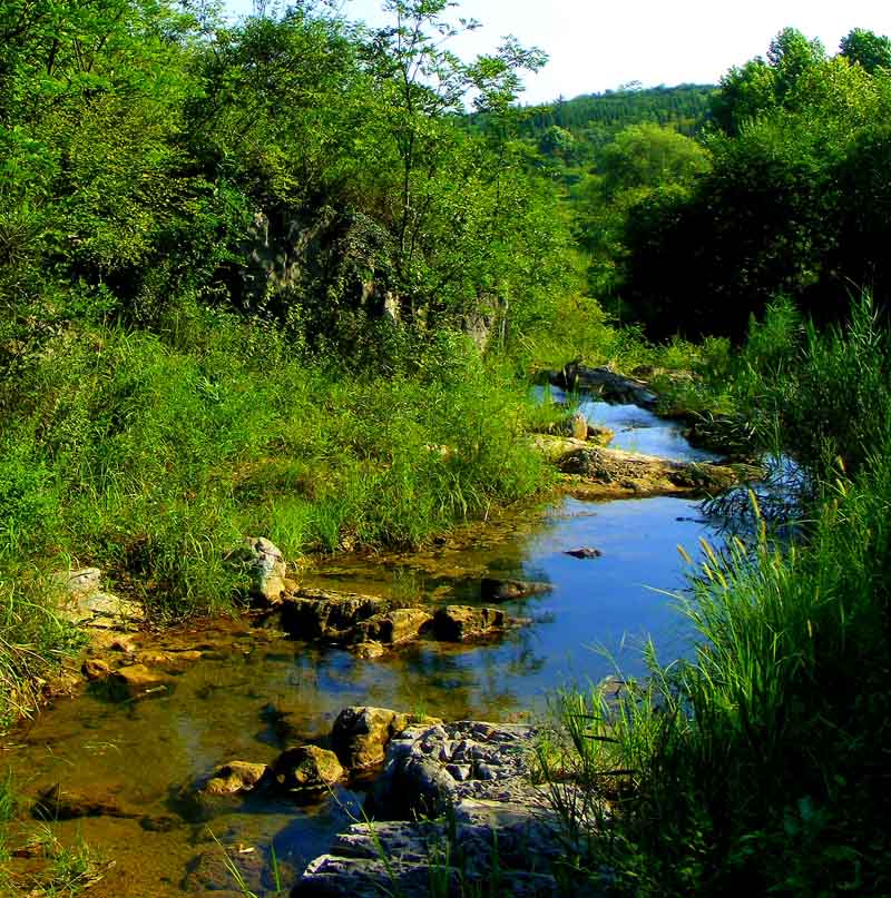 八公靜石的作品