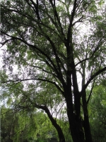 攝影學習日記2011-08-27