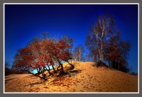 壩上風光—之一