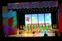 第十屆淮南市少兒文化藝術節演出