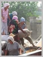 調(diào)檔加油送糧忙