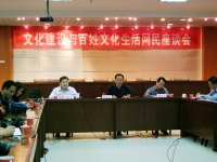 淮南市文化建設與百姓文化生活網民座談會